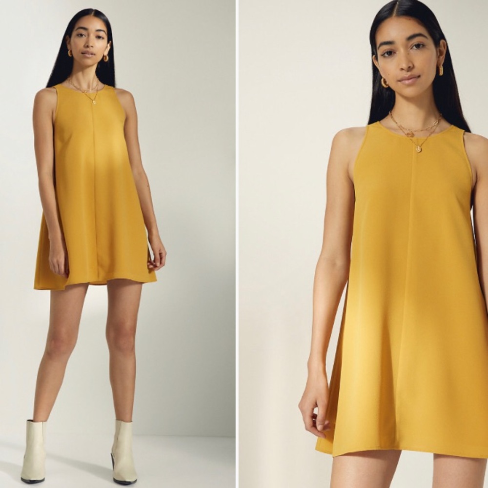 Aritzia sleeveless Dress